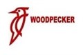 Woodpecker
